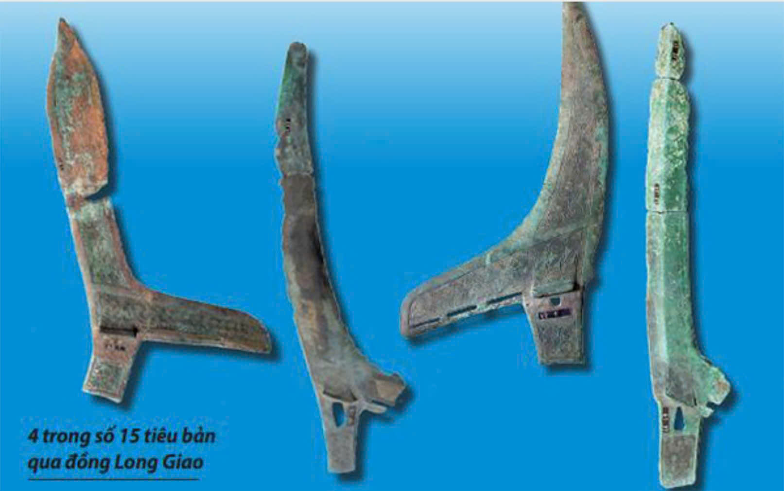 Sưu tập qua đồng Long Giao