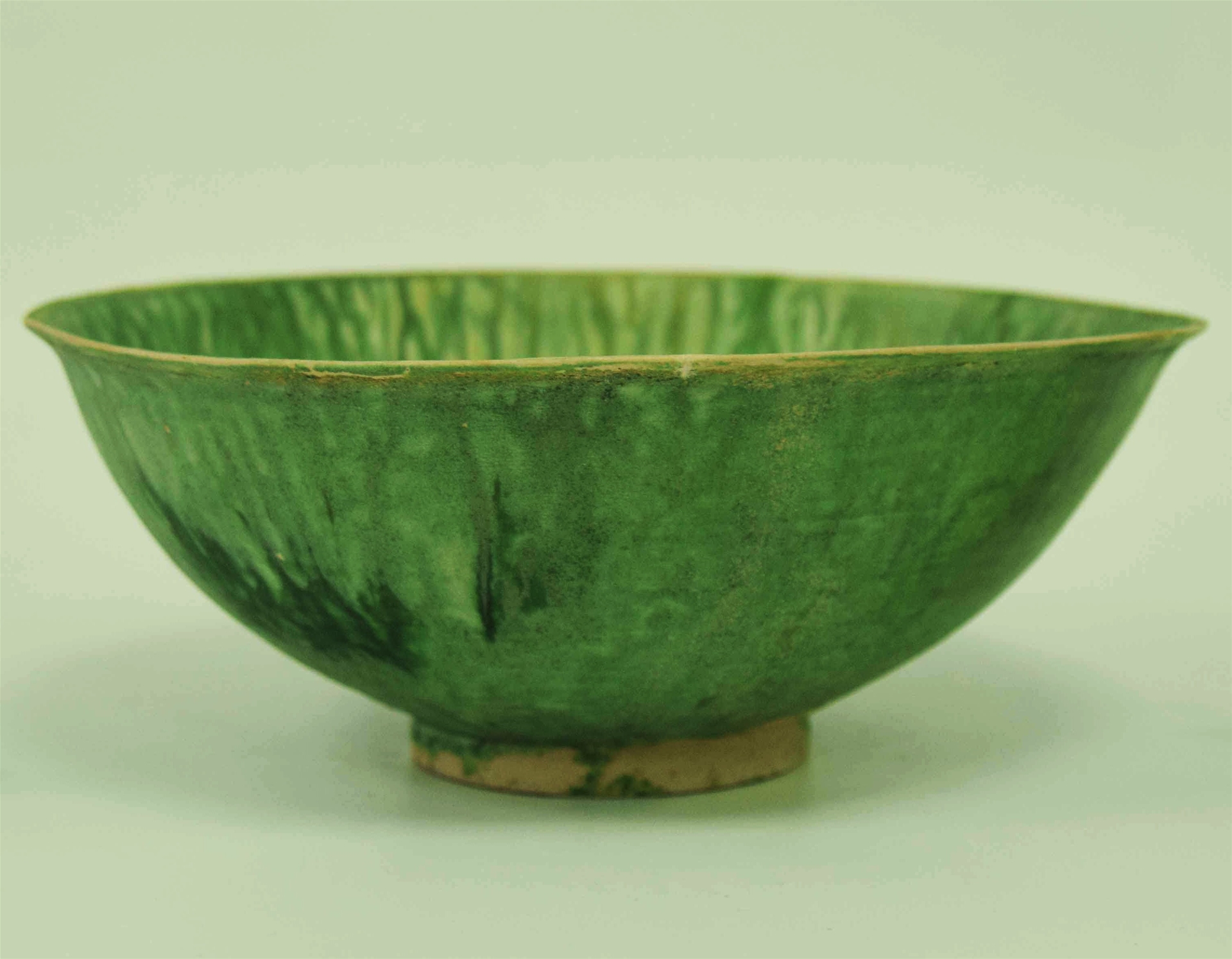 Câu chuyện về loại 