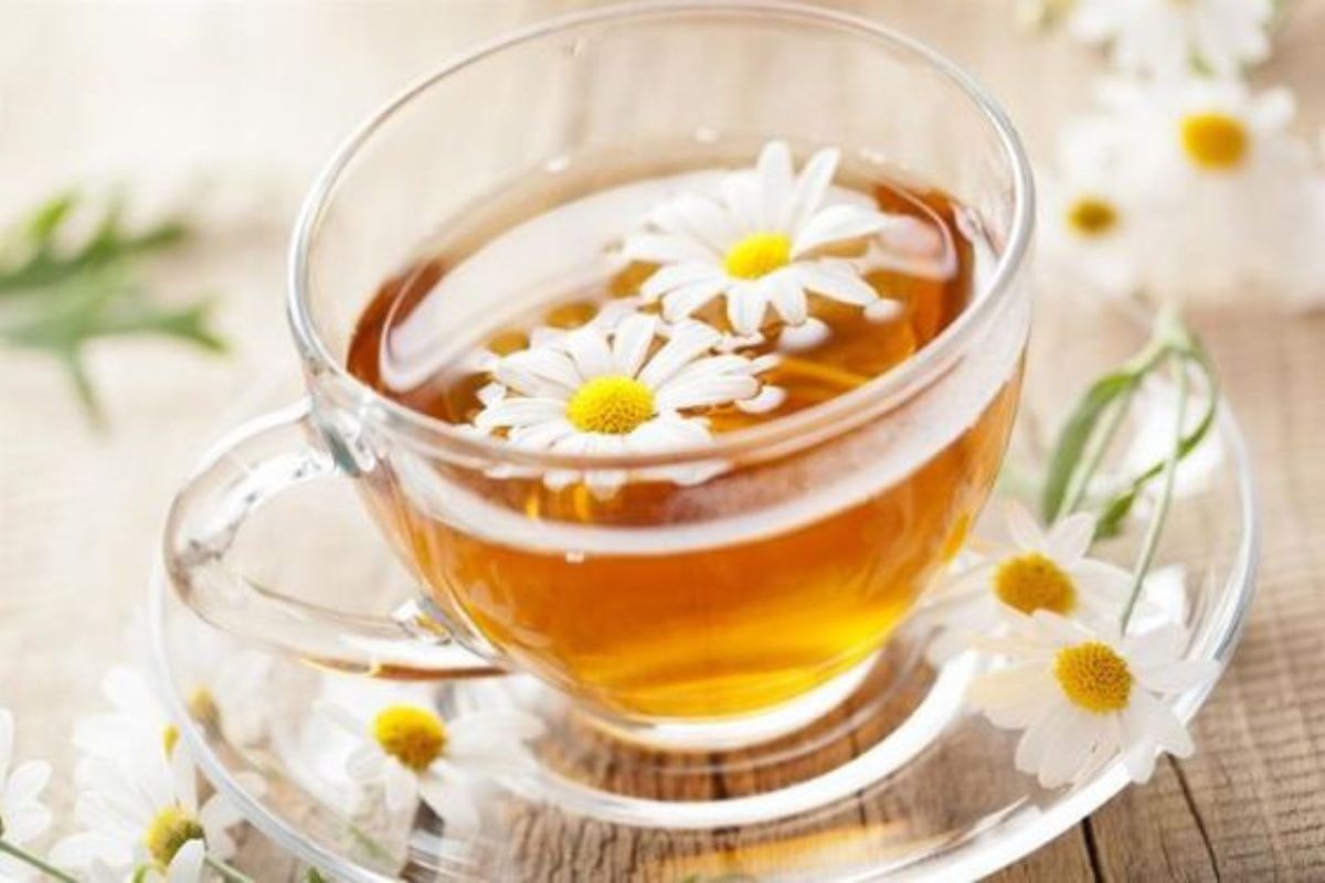 (Trà hoa cúc nên dùng ngay, không để qua đêm)