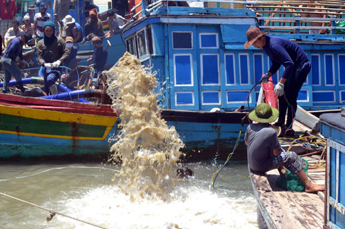 Những kho cổ vật hàng trăm tỷ dưới biển Quảng Ngãi